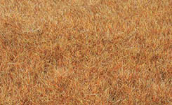042-33545 - Grasfaser Wildgras Spätherbst, 5-6 mm (75 g)
